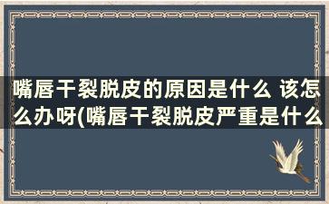 嘴唇干裂脱皮的原因是什么 该怎么办呀(嘴唇干裂脱皮严重是什么原因)